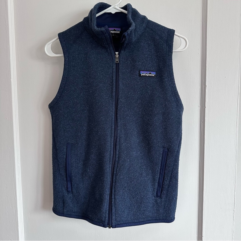 Patagonia Navy Fleece Vest